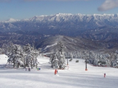 ���ա����󤿤���������