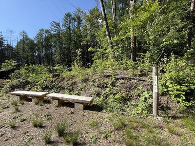 crude_drug_260601_hyakuso_forest2.jpeg