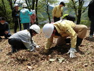 hino_blog_260512_kihada_planting9.JPG(キハダ植樹体験学習 2026年)
