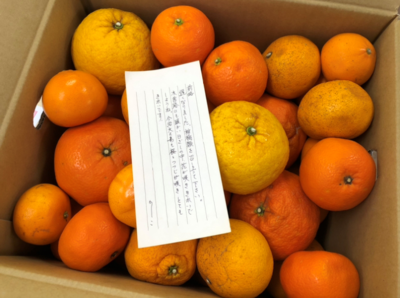 hino_blog_210409_oranges.png(柑橘類の贈り物)
