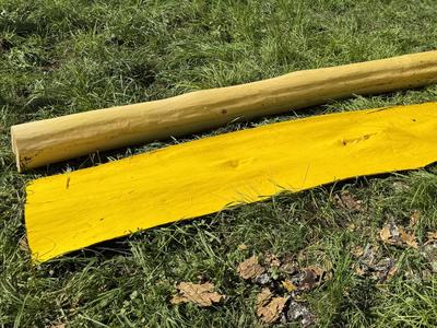 hino_blog_250701_kihada_kaida1.jpg(キハダ皮むき～薬色同源を知る～)