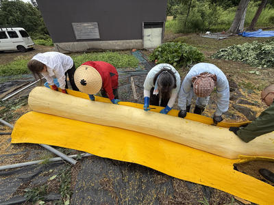 hino_blog_250715_kihada_iiyama1.jpg(キハダ皮むき ～キハダ一本から買います活動の広がり～)