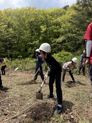 hino_blog_260512_kihada_planting1.jpeg