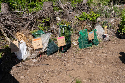 hino_blog_260518_kihada_planting3.jpg
