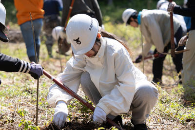 hino_blog_260518_kihada_planting6.jpg