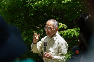 hino_blog_260518_kihada_planting8.jpg