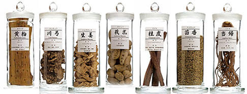 普導丸(ふどう丸)配合の生薬