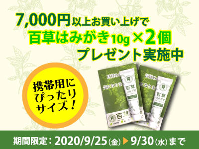 shopnews_202009_hamigaki_present.jpg