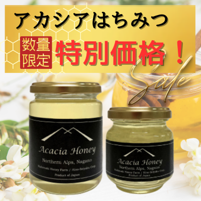 shopnews_202506_acacia.png