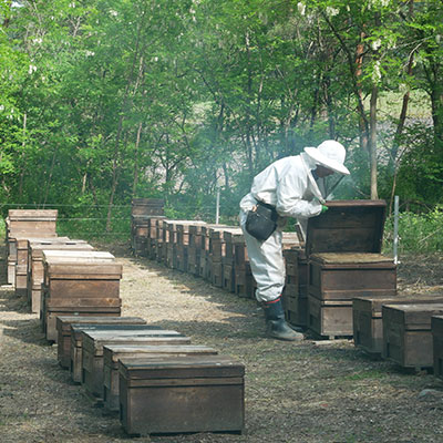 西牧養蜂園