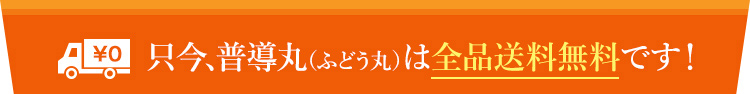 普導丸(ふどう丸)は全品送料無料です