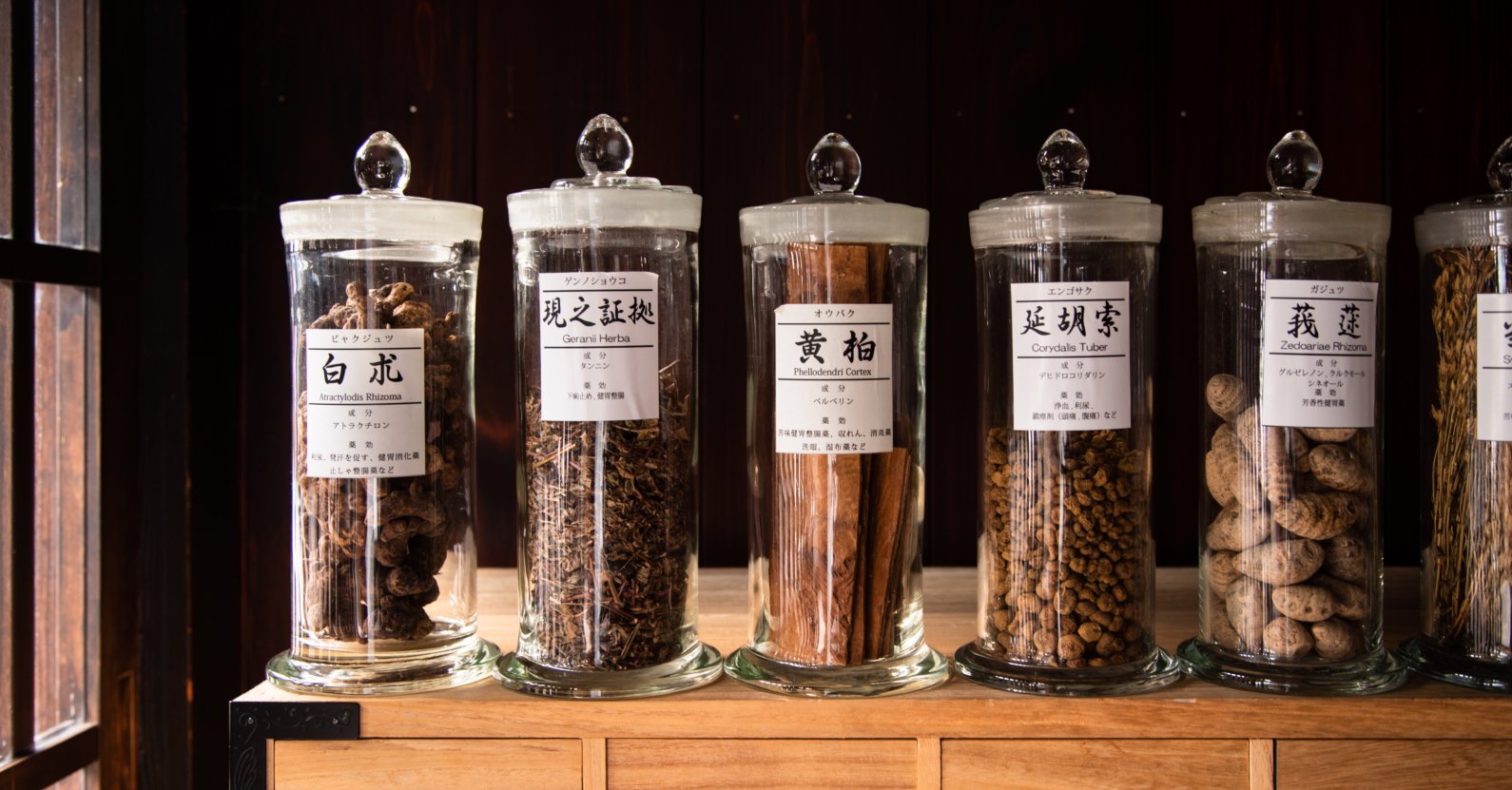 生薬って何？ 体験セミナー